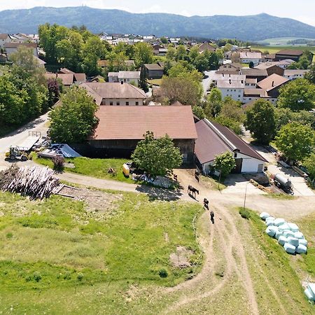 Ferienhof Schuetz Eschlkam Exteriör bild